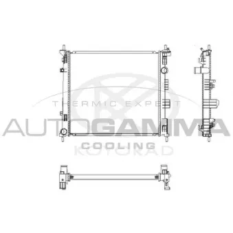 Radiateur, refroidissement du moteur AUTOGAMMA 107461