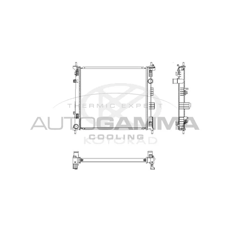 Radiateur, refroidissement du moteur AUTOGAMMA 107461