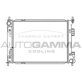 Radiateur, refroidissement du moteur AUTOGAMMA 107490