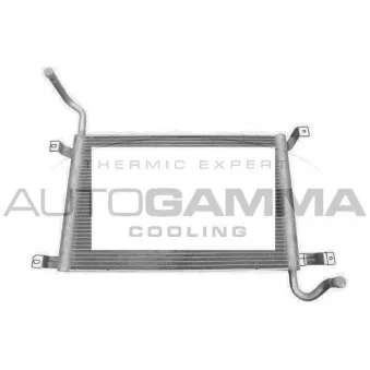 Radiateur, refroidissement du moteur AUTOGAMMA