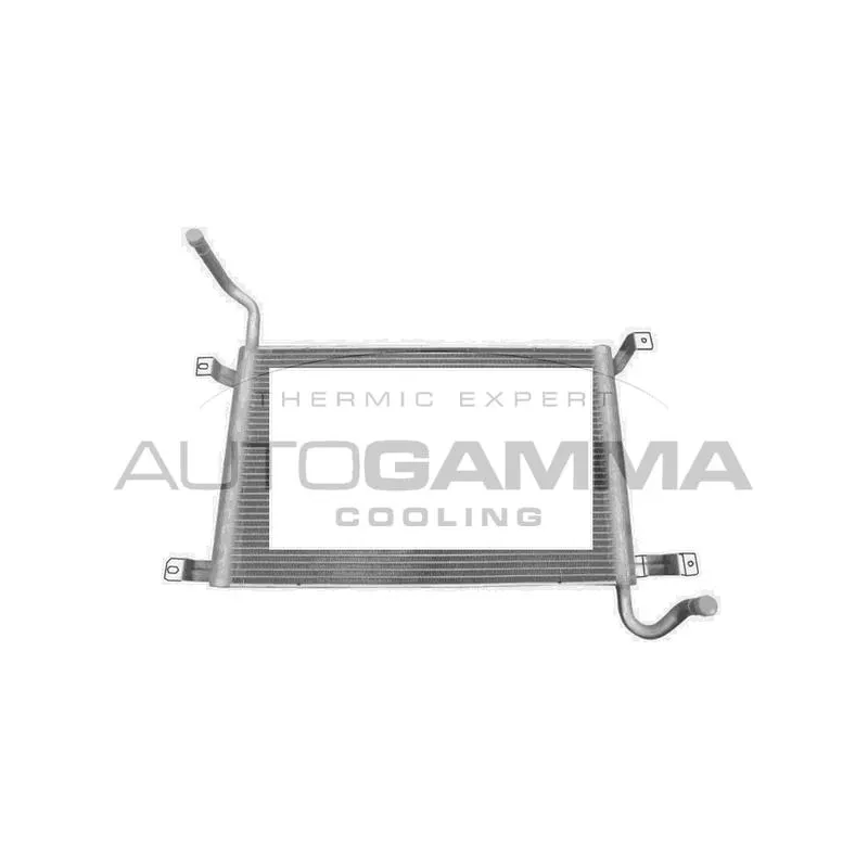 Radiateur, refroidissement du moteur AUTOGAMMA 107493
