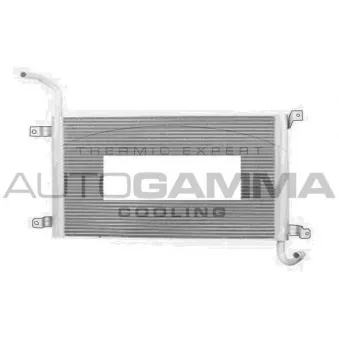 Radiateur, refroidissement du moteur AUTOGAMMA 107494