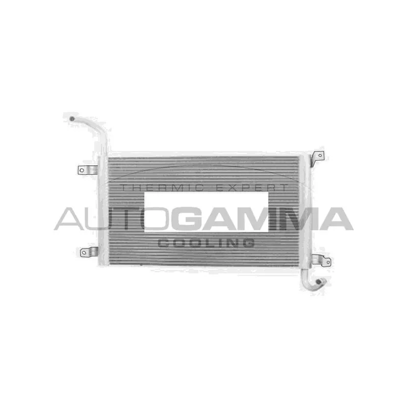 Radiateur, refroidissement du moteur AUTOGAMMA 107494