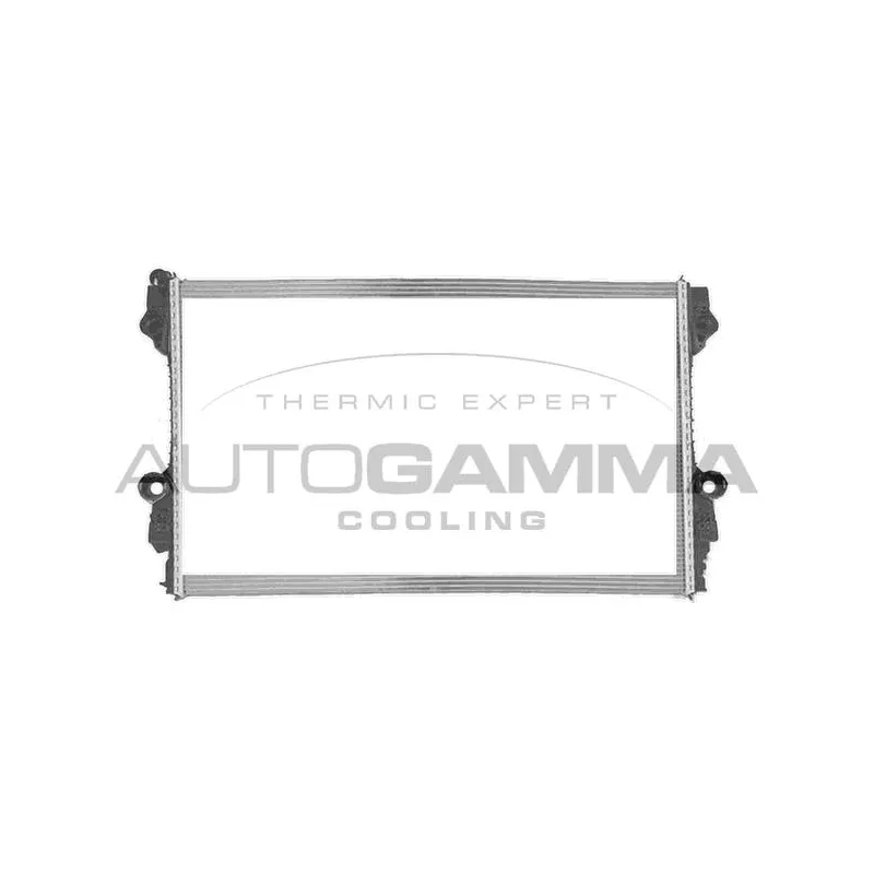 Radiateur, refroidissement du moteur AUTOGAMMA 107497