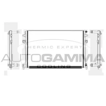 Radiateur, refroidissement du moteur AUTOGAMMA 107504