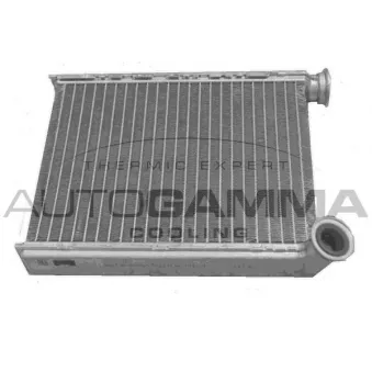 Système de chauffage AUTOGAMMA 107519