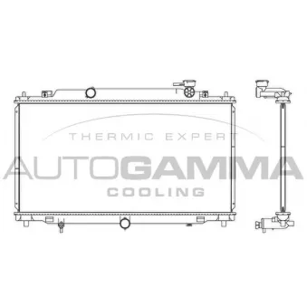 Radiateur, refroidissement du moteur AUTOGAMMA 107529