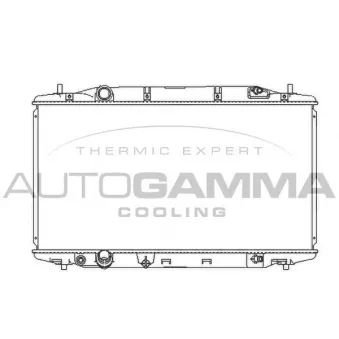 Radiateur, refroidissement du moteur AUTOGAMMA 107531