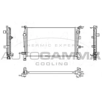 Radiateur, refroidissement du moteur AUTOGAMMA 107538