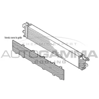 Radiateur, refroidissement du moteur AUTOGAMMA 107565
