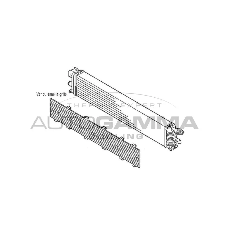 Radiateur, refroidissement du moteur AUTOGAMMA 107565