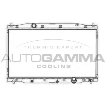 Radiateur, refroidissement du moteur AUTOGAMMA 107578