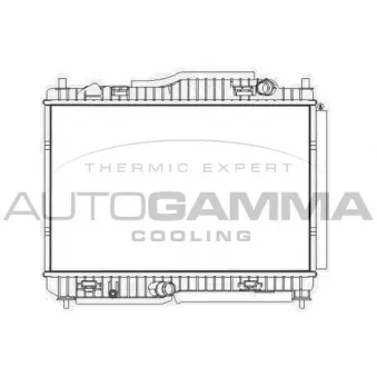 Radiateur, refroidissement du moteur AUTOGAMMA 107581