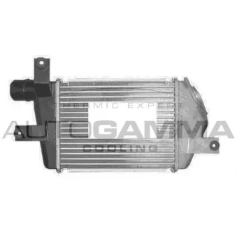 Intercooler, échangeur AUTOGAMMA 107603