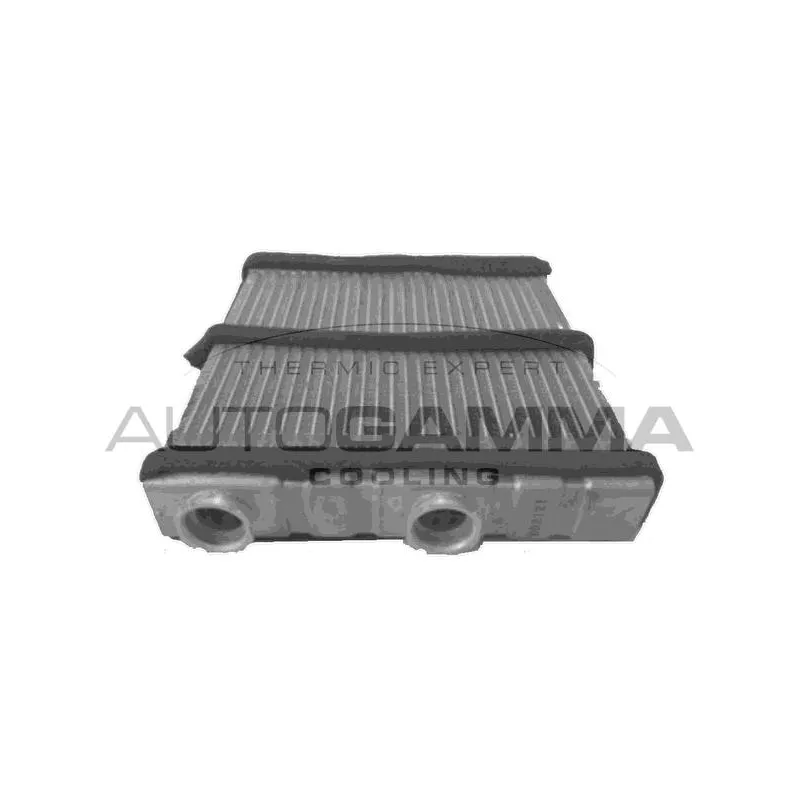 Système de chauffage AUTOGAMMA 107611