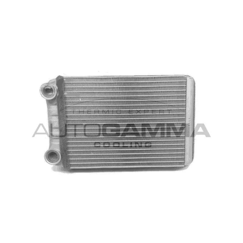 Système de chauffage AUTOGAMMA 107612