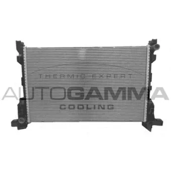 Radiateur, refroidissement du moteur AUTOGAMMA 107614