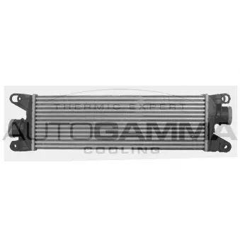 Intercooler, échangeur AUTOGAMMA 107621