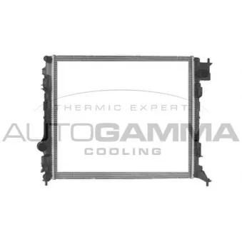 Radiateur, refroidissement du moteur AUTOGAMMA 107625