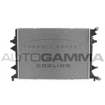 Radiateur, refroidissement du moteur AUTOGAMMA 107626