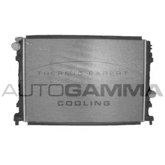Radiateur, refroidissement du moteur AUTOGAMMA 107627