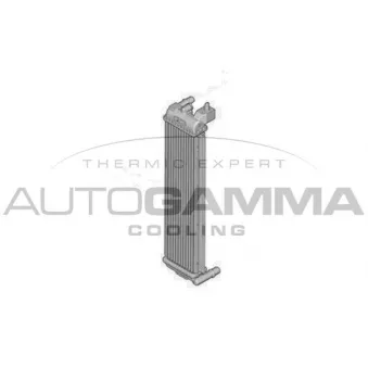 Radiateur, refroidissement du moteur AUTOGAMMA 107685