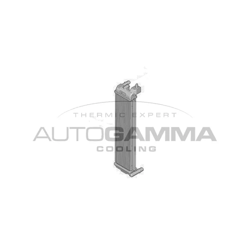Radiateur, refroidissement du moteur AUTOGAMMA 107685