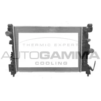 Radiateur, refroidissement du moteur AUTOGAMMA 107686