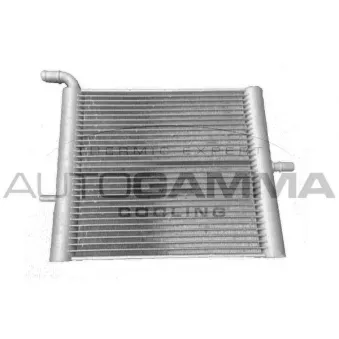 Radiateur, refroidissement du moteur AUTOGAMMA 107687