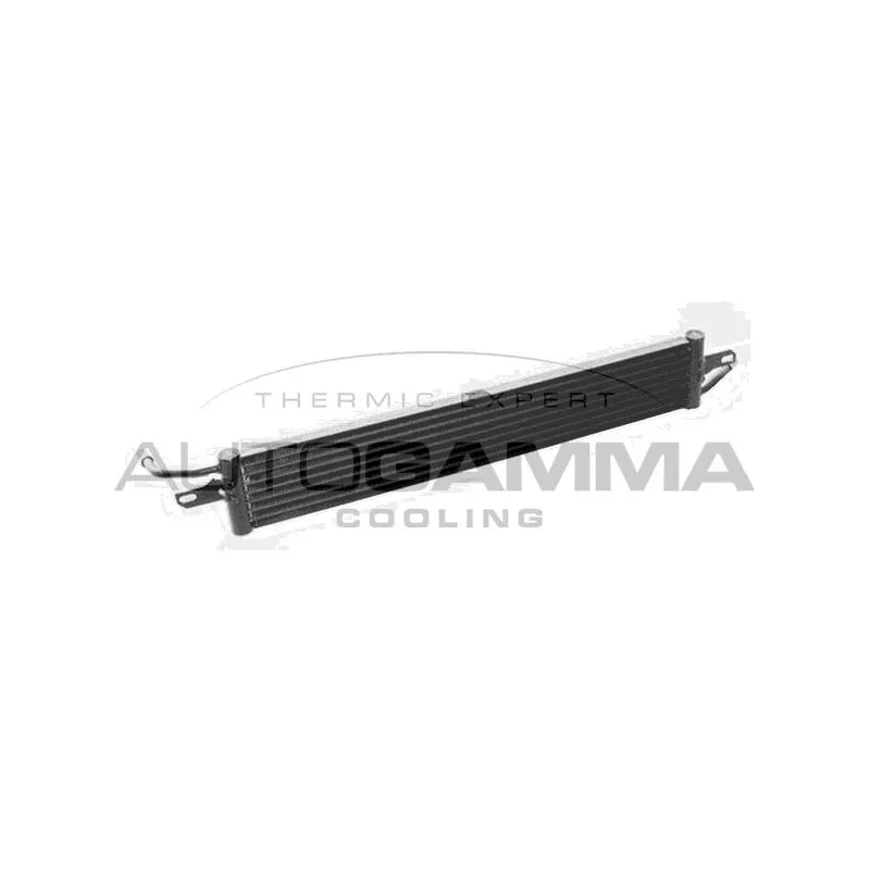 Radiateur, refroidissement du moteur AUTOGAMMA 107688