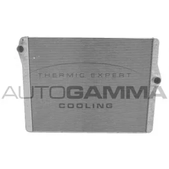 Radiateur, refroidissement du moteur AUTOGAMMA 107700