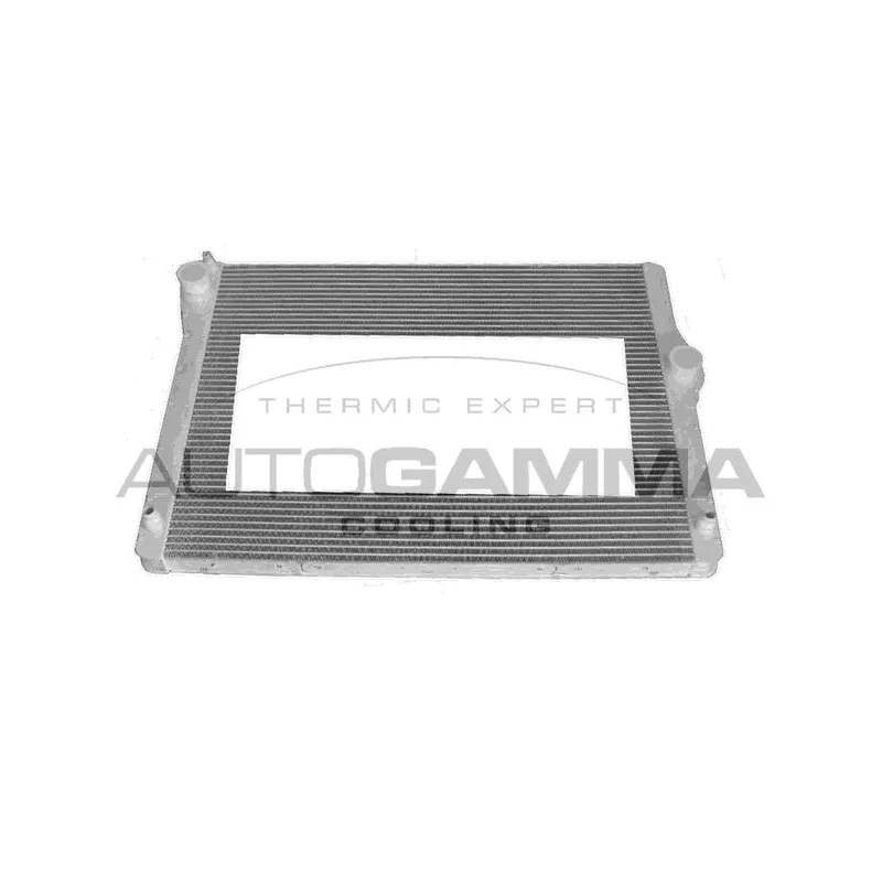 Radiateur, refroidissement du moteur AUTOGAMMA 107701