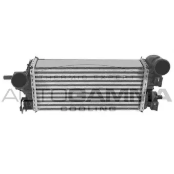 Intercooler, échangeur AUTOGAMMA 107705