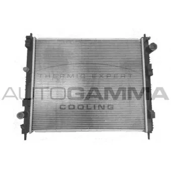 Radiateur, refroidissement du moteur AUTOGAMMA