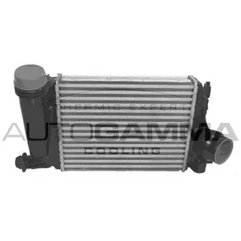 Intercooler, échangeur AUTOGAMMA 107712