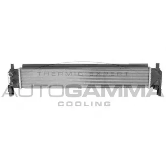 Radiateur, refroidissement du moteur AUTOGAMMA 107718