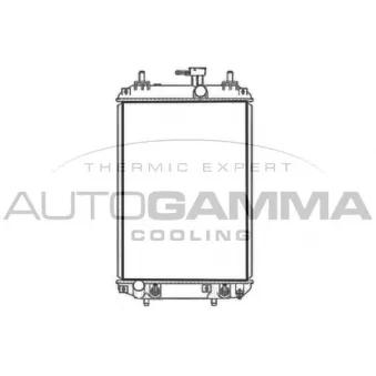 Radiateur, refroidissement du moteur AUTOGAMMA 107728