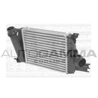 Intercooler, échangeur AUTOGAMMA 107741