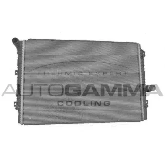Radiateur, refroidissement du moteur AUTOGAMMA 107760