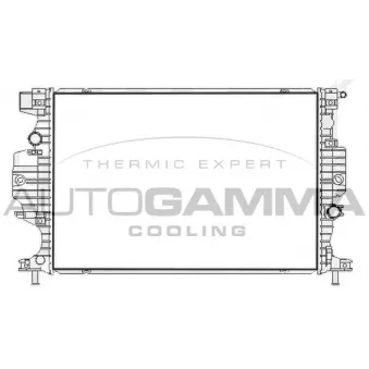 Radiateur, refroidissement du moteur AUTOGAMMA 107765