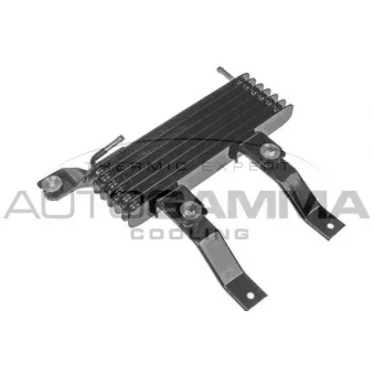 Radiateur d'huile AUTOGAMMA 107808