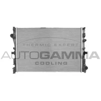 Radiateur, refroidissement du moteur AUTOGAMMA 107814