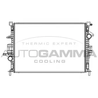 Radiateur, refroidissement du moteur AUTOGAMMA 107819