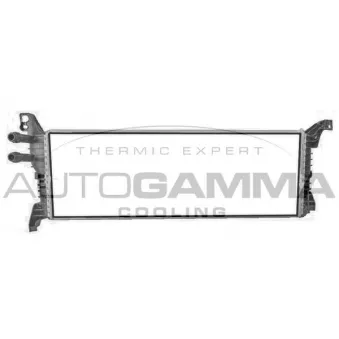 Radiateur, refroidissement du moteur AUTOGAMMA 107822