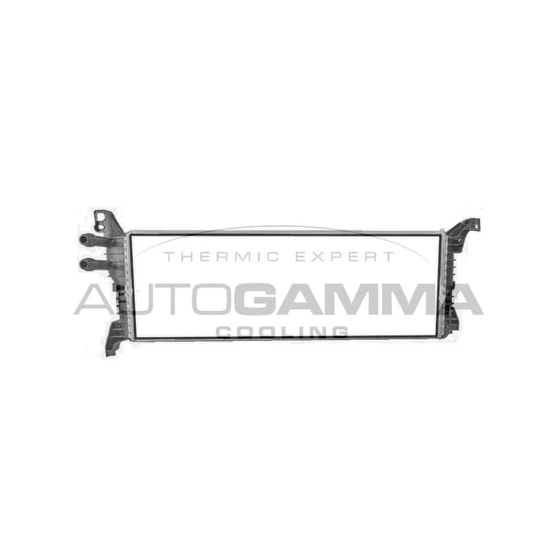 Radiateur, refroidissement du moteur AUTOGAMMA 107822