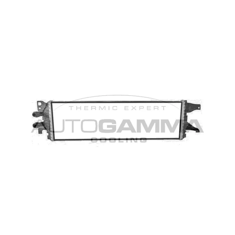 Radiateur, refroidissement du moteur AUTOGAMMA 107823
