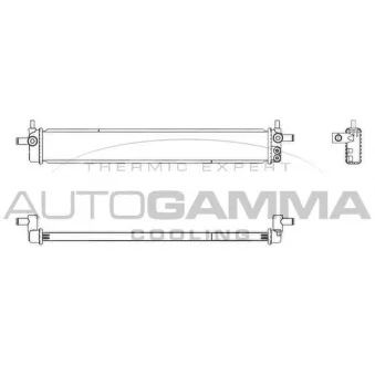 Radiateur, refroidissement du moteur AUTOGAMMA 107826