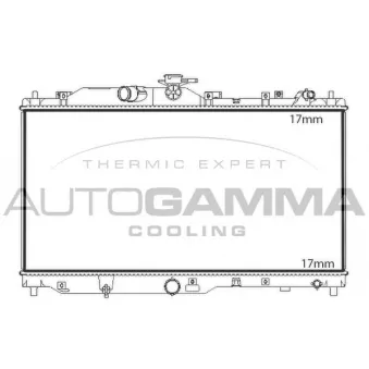 Radiateur, refroidissement du moteur AUTOGAMMA 107842