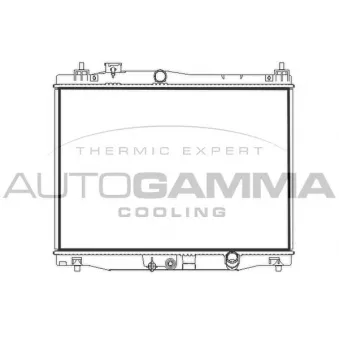 Radiateur, refroidissement du moteur AUTOGAMMA 107844
