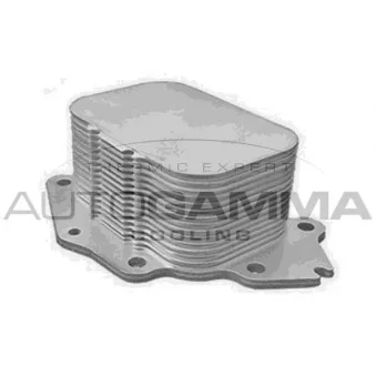 Radiateur d'huile AUTOGAMMA 107850